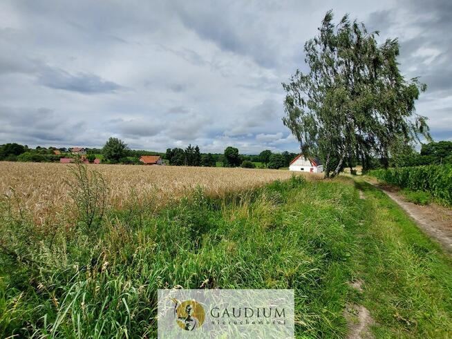 Działka blisko jeziora i zamku krzyżackiego!