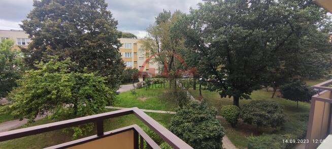 Trzypokojowe czynsz administracyjny w cenie