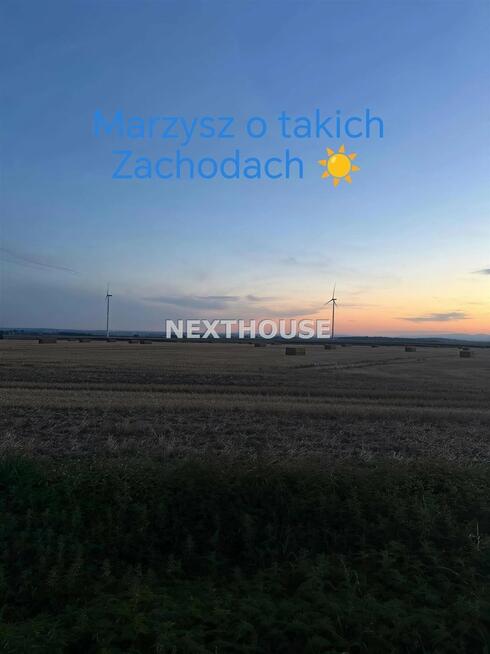 Działka rolno-budowlana Głubczyce Opawica