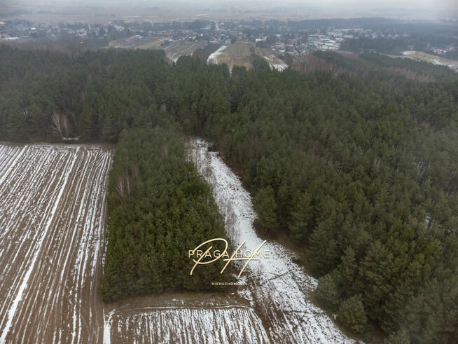 Działka leśna Wyśmierzyce,