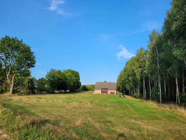 Działka 5000 m² przy lesie | WZ + pozwolenie | prąd |stodoła