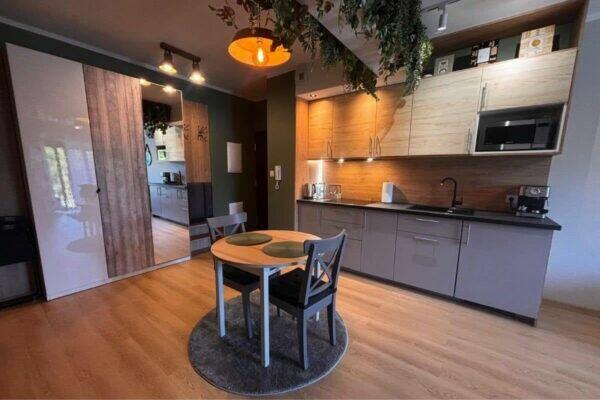 Apartament Oliwkowy Częstochowa ogródek, parking, klima, do