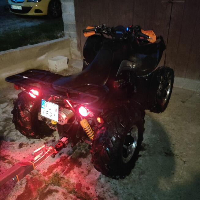 Wykaszanie traw i krzaków do 2m wysokości