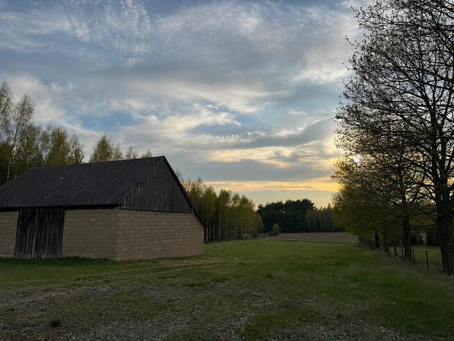 Działka 5000 m² przy lesie | WZ + pozwolenie | prąd |stodoła
