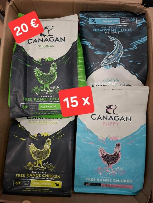 Karama dla Zwierząt