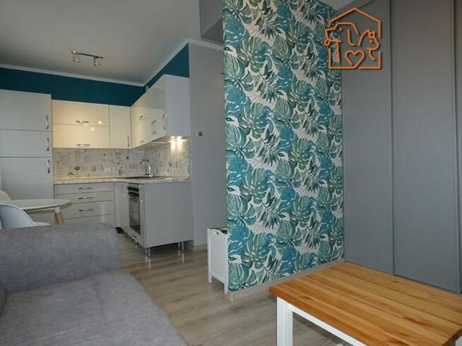 Kawalerka, piwnica, pet-friendly - Wilka 10