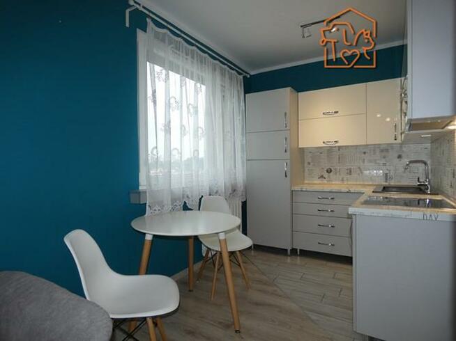 Kawalerka, piwnica, pet-friendly - Wilka 10