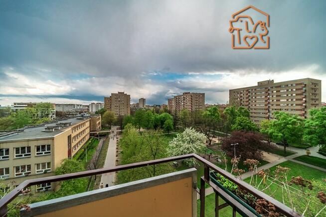 Rozkładowe 2pokoje, pet-friendly-Zwierzyniecka