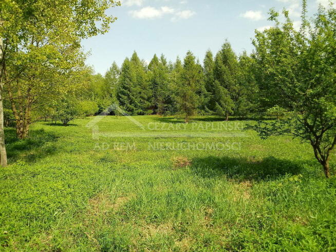 Działka budowlana Tomaszowice-Kolonia gm. Jastków, Tomaszowice Kolonia