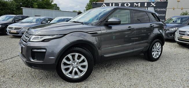 Land Rover Range Rover Evoque 4X4,2.0 D150KM, FULLOpcja,Igła ,Możliwa zamiana,GWARANCJA- AUTOMI-X.PL