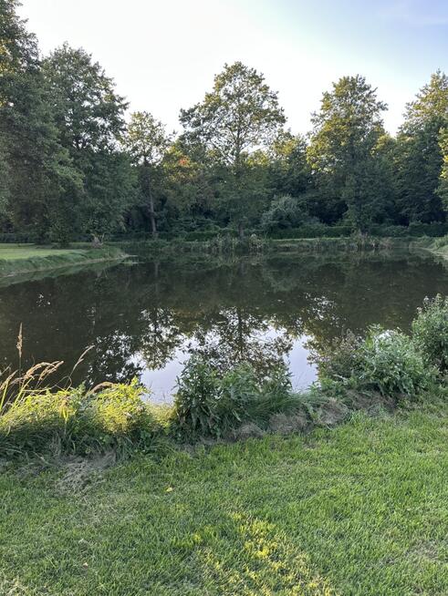 Działka inwestycyjno-rekreacyjna na Roztoczu