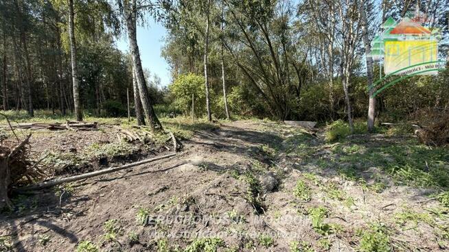 Działka rolno-budowlana Kaźmierów gm. Sochaczew