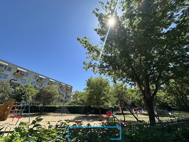 Mieszkanie 4 pokoje-balkon-piwnica-zieleń