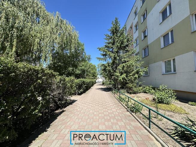 Mieszkanie 4 pokoje-balkon-piwnica-zieleń
