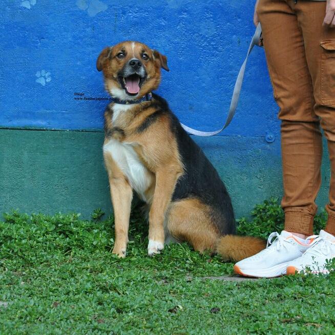 Diego