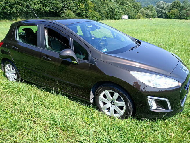 Peugeot 308 -1,6 b-polski salon