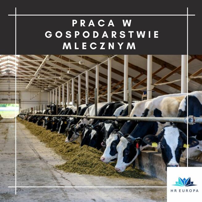Dojarz/ Niemcy / Bezpłatna kawalerka, ubezpieczenie niem.