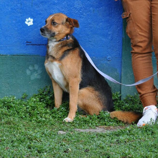 Diego
