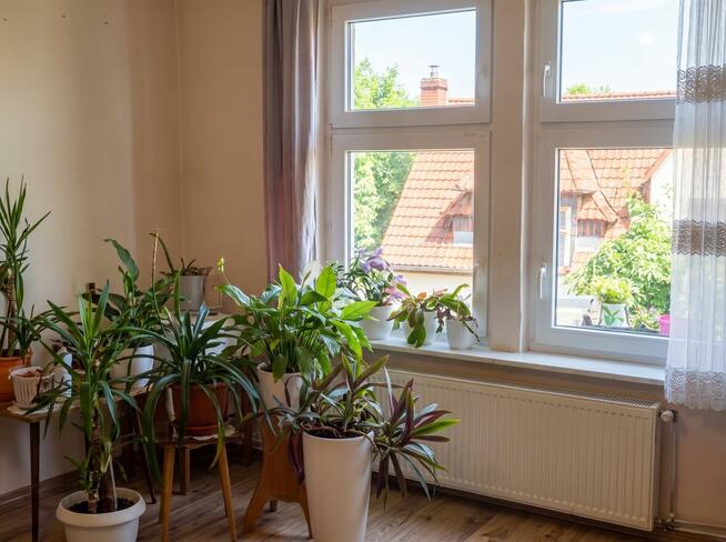 Przestronne 119,5 m² dla rodziny | Klimatyczna kamienica