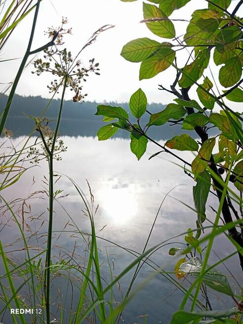 Szukam Pani do rozmowy
