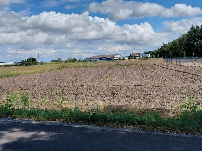 Działka z warunkami zabudowy, Borucin, gm. Osięciny