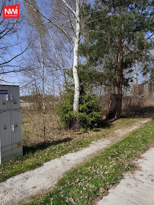 Działka Ruda gm. Dębe Wielkie