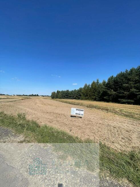 Działka rolna 9 979 m² – Woźniki, gm. Lgota Wielka