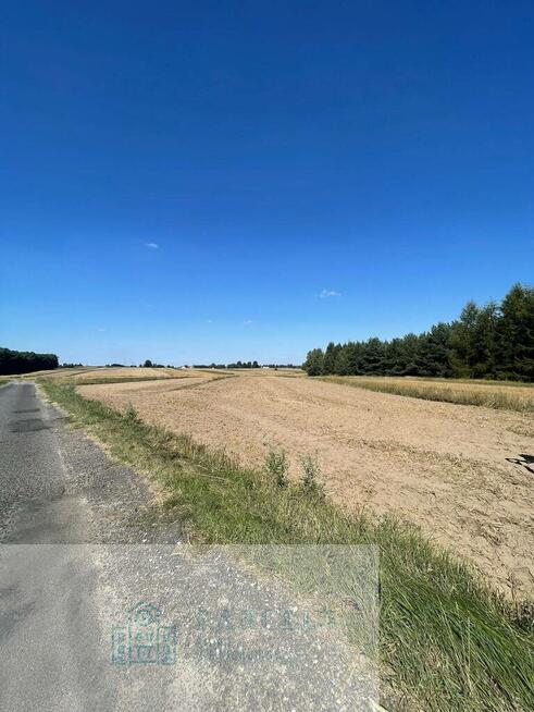 Działka rolna 9 979 m² – Woźniki, gm. Lgota Wielka