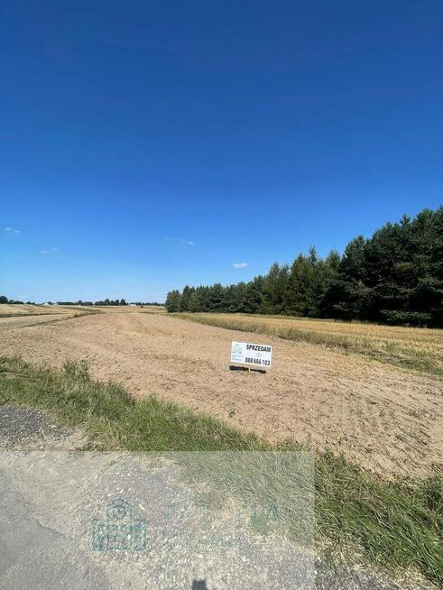 Działka rolna 9 979 m² – Woźniki, gm. Lgota Wielka