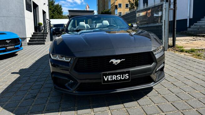 Ford Mustang Cabrio 2.3 290KM Wentyle Radar Kamera Grzana kiera Skóry biało-czarne