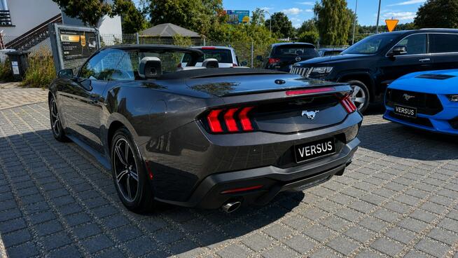 Ford Mustang Cabrio 2.3 290KM Wentyle Radar Kamera Grzana kiera Skóry biało-czarne