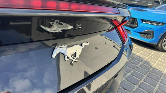 Ford Mustang Cabrio 2.3 290KM Wentyle Radar Kamera Grzana kiera Skóry biało-czarne