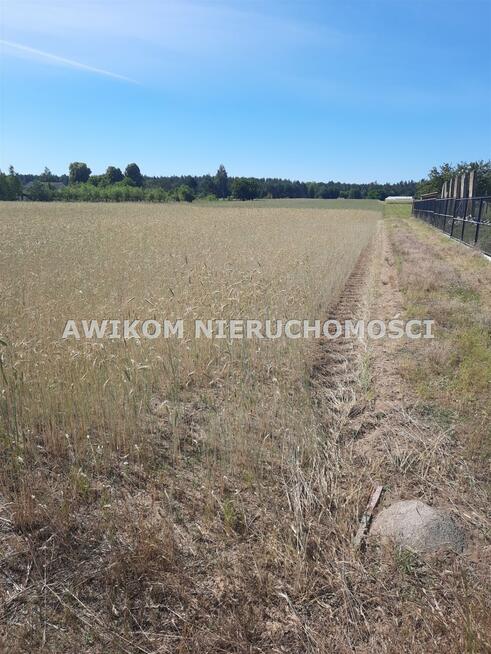 Działka budowlana Grabów nad Pilicą Nowa Wola