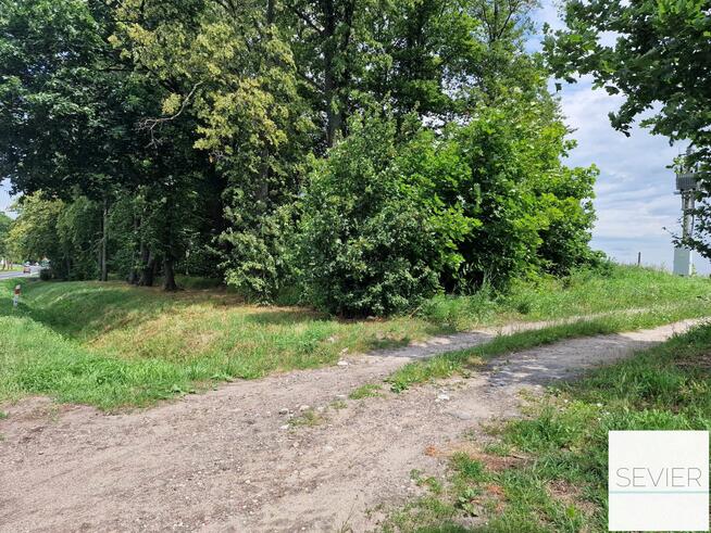 DZIAŁKA SIEDLISKOWA 3389 m² Z WARUNKAMI ZABUDOWY