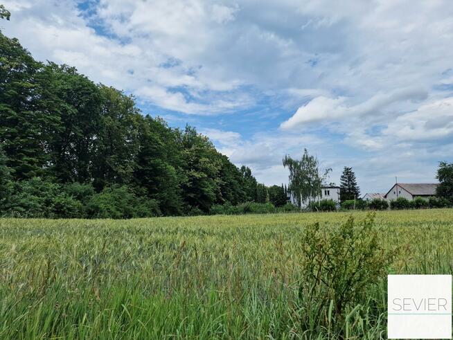 DZIAŁKA SIEDLISKOWA 3389 m² Z WARUNKAMI ZABUDOWY