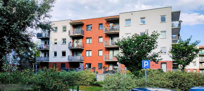 2 pok | Rozkładowe | Olimpia Port