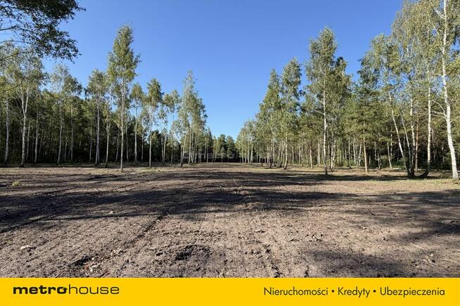 Działka Nowe Chrusty, ul. Klonowa