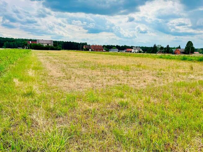 Działka budowlana 13.95 ar / Żabiniec gm. Kluczbork
