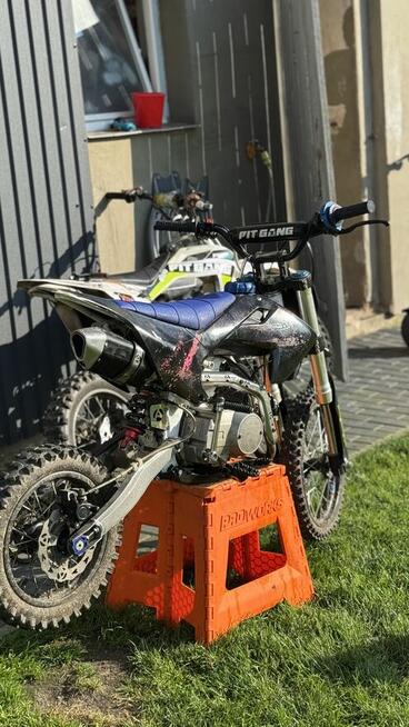 Pit gang 125xd