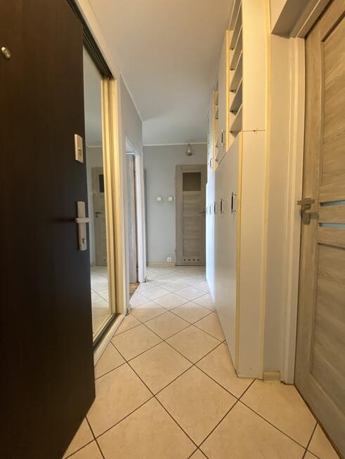 3 pokoje/Winda /Balkon/Piwnica/Top lokalizacja