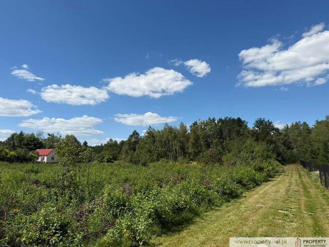Działka z WZ, 37 a, Zasów, gm. Żyraków