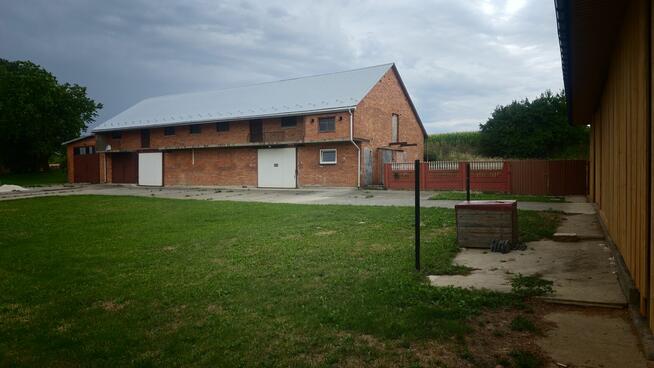 Dom z potencjałem biznesowym – duża działka (6500 m²), dom i