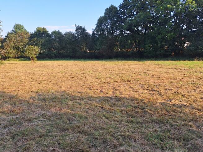 1950 m² działki w otoczeniu natury – Stryszawa