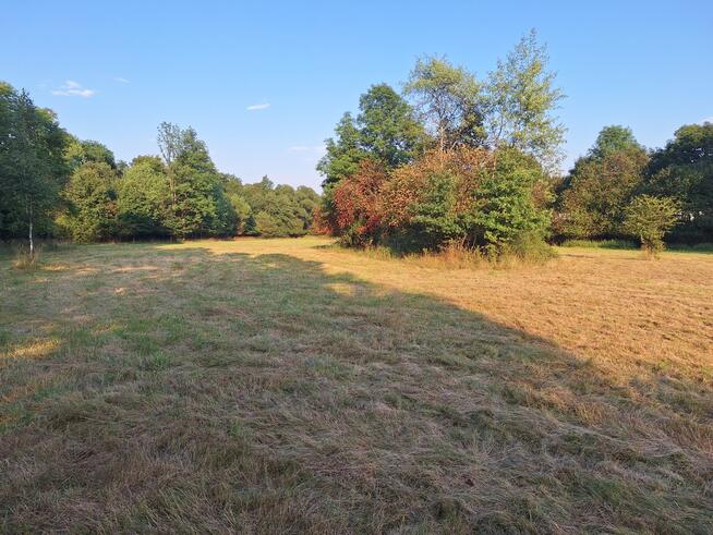 1950 m² działki w otoczeniu natury – Stryszawa