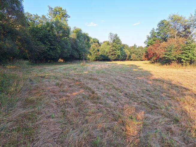 1950 m² działki w otoczeniu natury – Stryszawa