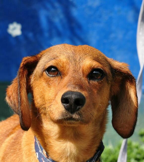 Betty
