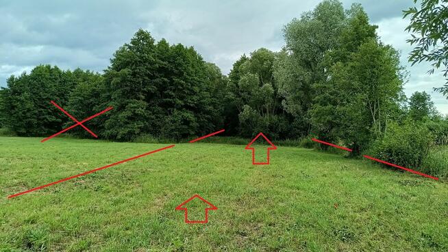Łąka Kosiory 0,77 ha - częściowo zadrzewiona i z moczarami