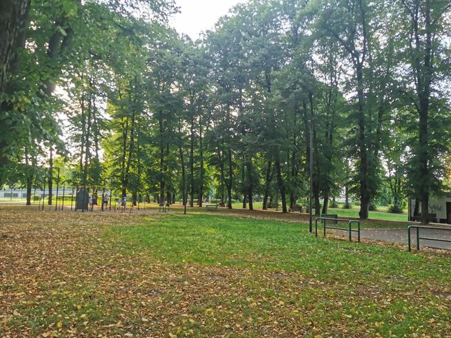 Zrewitalizowana kamienica; możliwe 4 pokoje