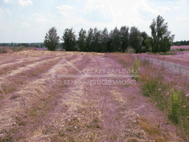 Działka budowlana Jastków, Jastków, Snopków