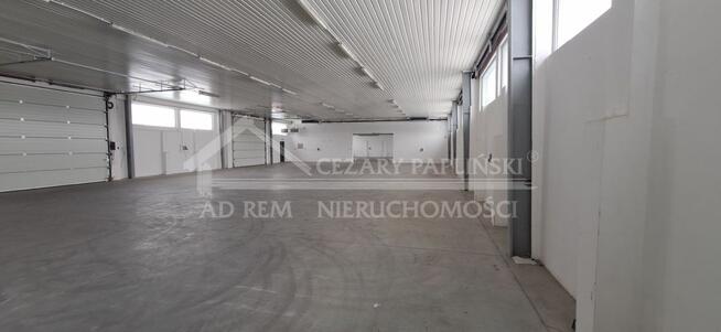 Lokal użytkowy Kurów, Kurów